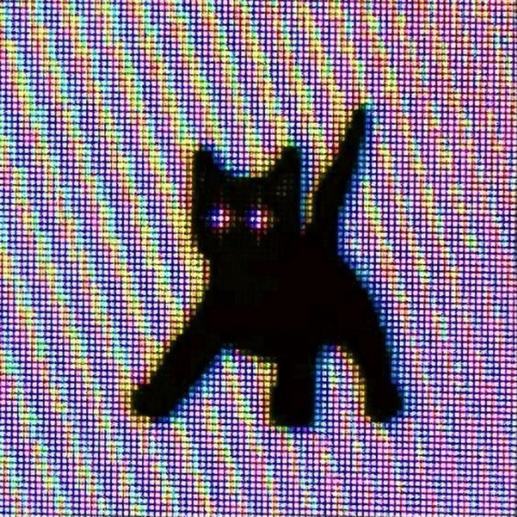 ParsaZF's Profile Picture In GameUP
