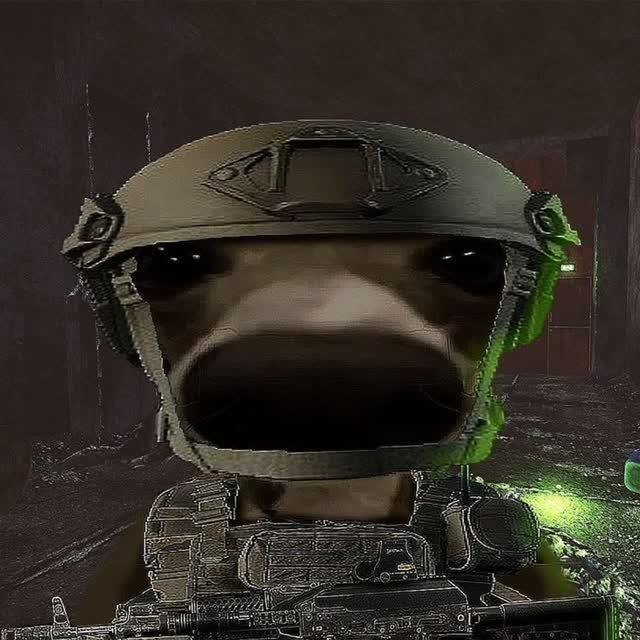 Ashkan's Profile Picture In GameUP