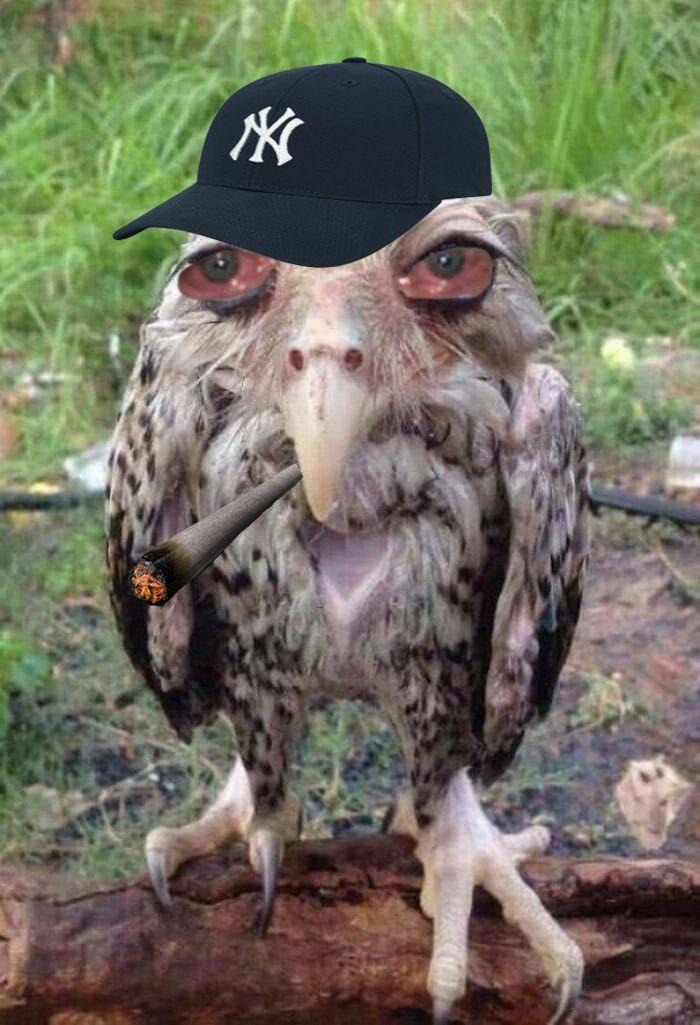 BigMaMol's Profile Picture In GameUP