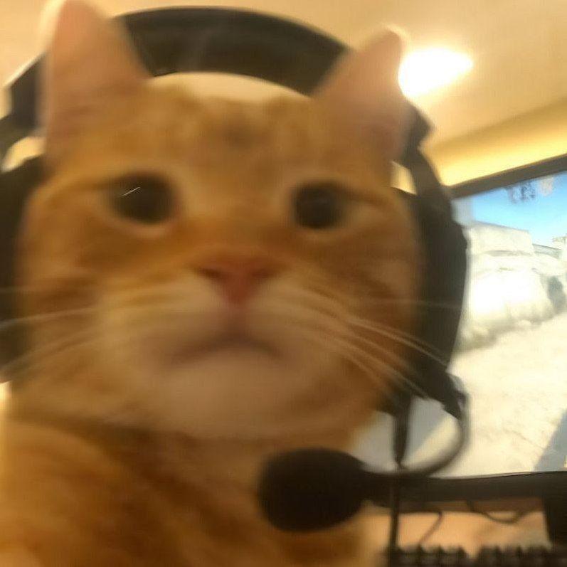 RED_BIT's Profile Picture In GameUP