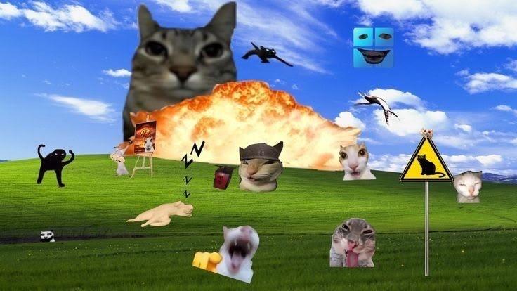 bardiazzk's Profile Picture In GameUP