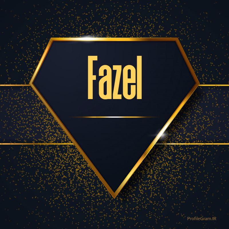 fazil's Profile Picture In GameUP