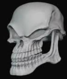 Sussy_Skeleton's Profile Picture In GameUP